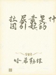 拉尿黄是什么原因引起的