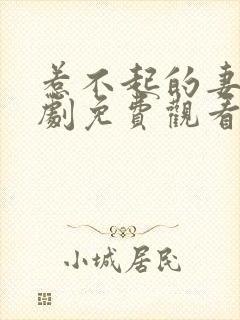 惹不起的妻子短剧免费观看