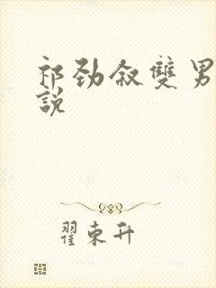 祁劲叙双男主小说