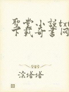 圣堂小说txt下载奇书网