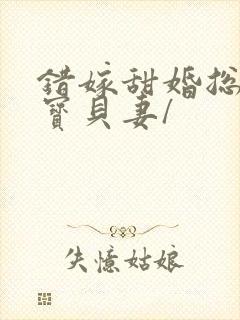 错嫁甜婚总裁的宝贝妻/