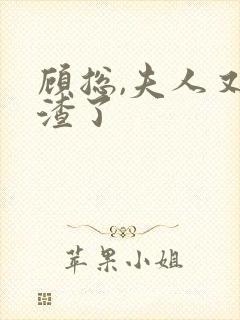 顾总,夫人又虐渣了