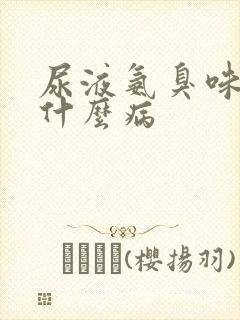 尿液氨臭味见于什么病