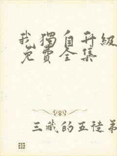 我独自升级动漫免费全集