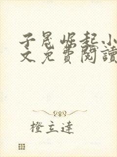 子晟崛起小说全文免费阅读