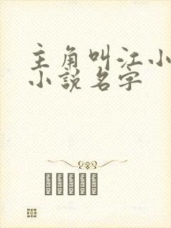 主角叫江小白的小说名字