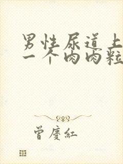 男性尿道上长了一个肉肉粒