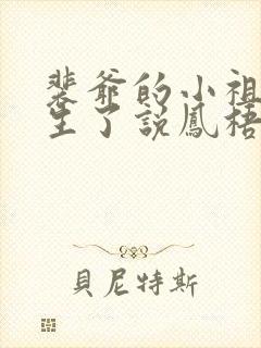 裴爷的小祖宗重生了说凤梧