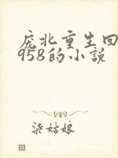庞北重生回到1958的小说
