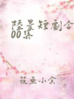 陆晨短剧合集100集