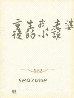 重生我老婆是天后的小说