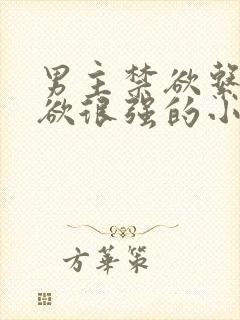 男主禁欲系占有欲很强的小说