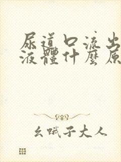 尿道口流出白色液体什么原因