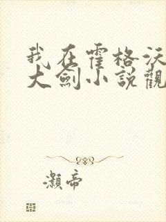 我在霍格沃茨抡大剑小说观看