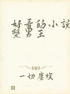 好看的小说推荐双男主