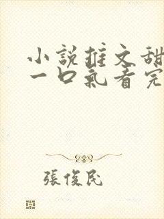 小说推文甜宠文一口气看完