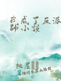 我成了反派高富帅小说