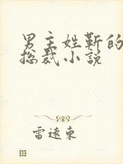 男主姓靳的霸道总裁小说