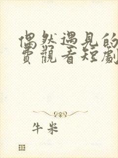 偶然遇见的你免费观看短剧