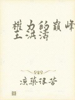 权力的巅峰小说王洪涛