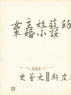 女主姓苏的重生军婚小说