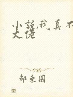 小说,我真不是大佬