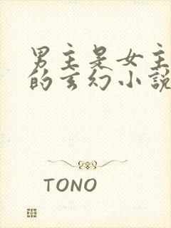 男主是女主师兄的玄幻小说