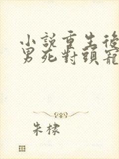 小说重生后被渣男死对头宠上天