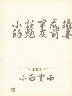 小说穿成摄政王的炮灰前妻