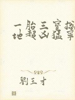 一胎三宝总裁爹地超凶猛宁晚晚