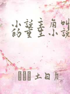 小说主角叫陈阳的重生小说