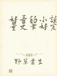 好看的小说高质量文笔好完结