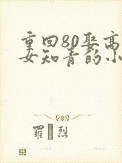 重回80娶高挑女知青的小说