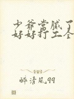 少爷当腻了只想好好打工全集免费观看