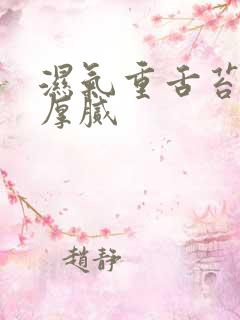 湿气重舌苔发黄厚腻