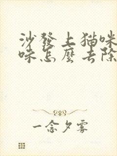 沙发上猫咪尿骚味怎么去除