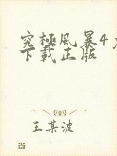 究极风暴4免费下载正版