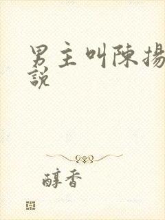 男主叫陈扬的小说