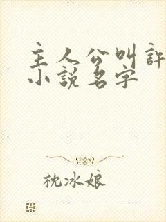 主人公叫许安的小说名字