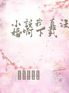 小说我真没想结婚啊下载