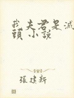 我夫君是灭世魔头 小说