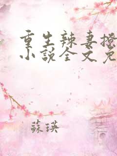 重生辣妻撩夫忙小说全文免费阅读