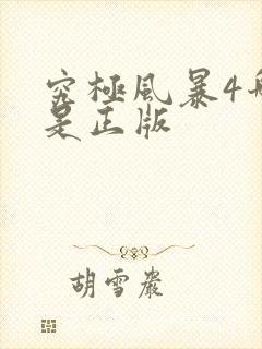 究极风暴4哪个是正版