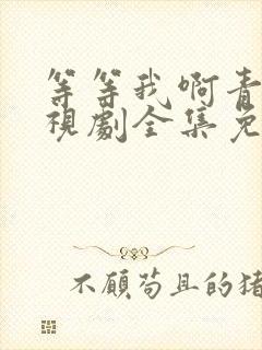 等等我啊青春电视剧全集免费观看