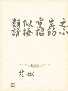 类似重生之老公请接招的小说