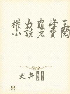 权力巅峰王洪涛小说免费阅读全本