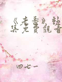 《老番》动漫全集免费观看