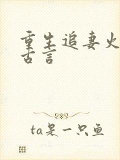 重生追妻火葬场古言