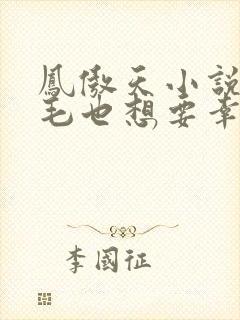 凤傲天小说的黄毛也想要幸福