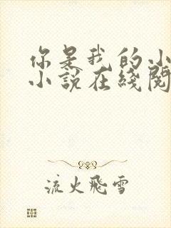 你是我的小确幸小说在线阅读